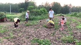 晚秋吃大瓜,品味丰收的甘甜与温馨