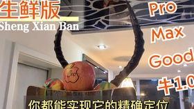 终极吃瓜群众小说,揭秘娱乐圈背后的秘密风云