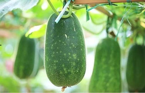 四楞吃瓜,揭秘娱乐圈背后的那些事儿