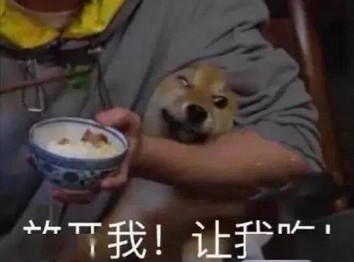 奇葩旅馆瓜哥带你吃瓜,一场别开生面的吃瓜之旅